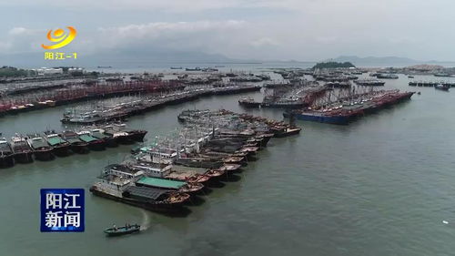 阳江 全市3104艘渔船返港开始伏季休渔
