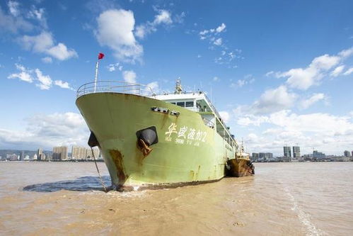 世界最大海上水产加工船 开门红 华盛267吨虾皮将以低于市场价20 销售