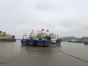 黄渤海9月16日告别伏休 渔船将全面开捕